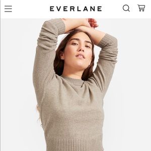 Everlane XS ReCashmere Vintage Crew
